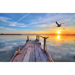 ROLLER σκίασης με ψηφιακό...