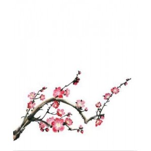 ROLLER σκίασης με ψηφιακό...