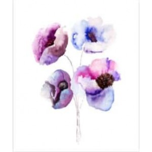 ROLLER σκίασης με ψηφιακό...