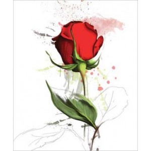 ROLLER σκίασης με ψηφιακό...