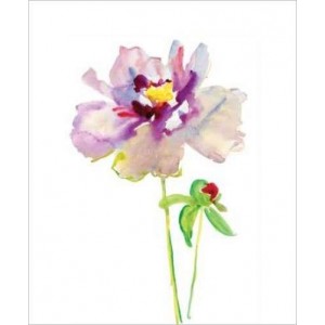 ROLLER σκίασης με ψηφιακό...