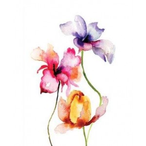 ROLLER σκίασης με ψηφιακό...