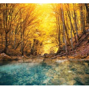 ROLLER σκίασης με ψηφιακό...