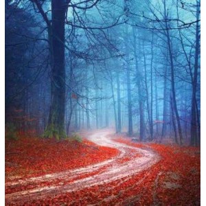 ROLLER σκίασης με ψηφιακό...