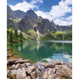 ROLLER σκίασης με ψηφιακό...