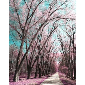 ROLLER σκίασης με ψηφιακό...