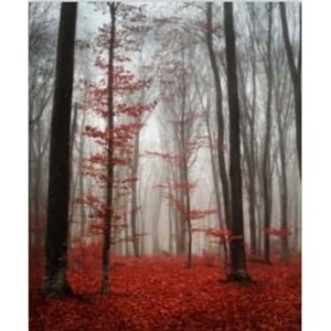 ROLLER σκίασης με ψηφιακό...