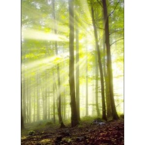 ROLLER σκίασης με ψηφιακό...