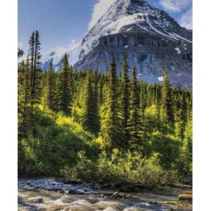 ROLLER σκίασης με ψηφιακό...