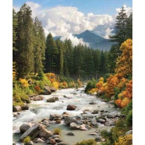 ROLLER σκίασης με ψηφιακό...