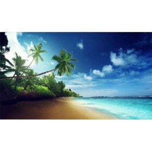 ROLLER σκίασης με ψηφιακό...