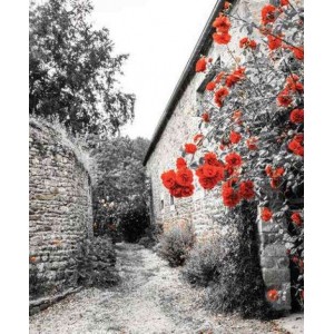 ROLLER σκίασης με ψηφιακό...