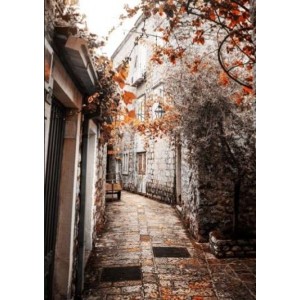 ROLLER σκίασης με ψηφιακό...