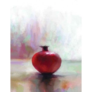 ROLLER σκίασης με ψηφιακό...