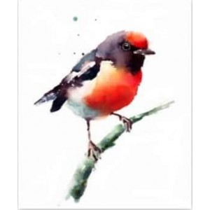 ROLLER σκίασης με ψηφιακό...