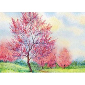 ROLLER σκίασης με ψηφιακό...