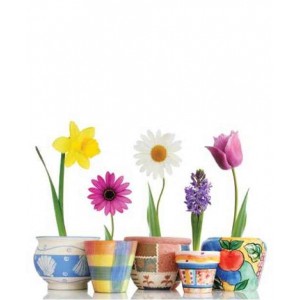 ROLLER σκίασης με ψηφιακό...