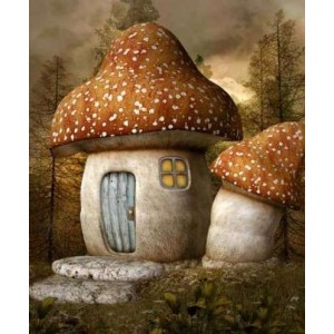 ROLLER σκίασης με ψηφιακό...