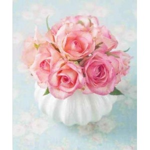 ROLLER σκίασης με ψηφιακό...