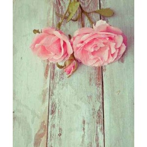 ROLLER σκίασης με ψηφιακό...