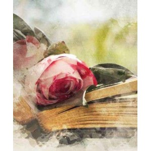 ROLLER σκίασης με ψηφιακό...