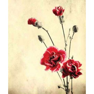 ROLLER σκίασης με ψηφιακό...