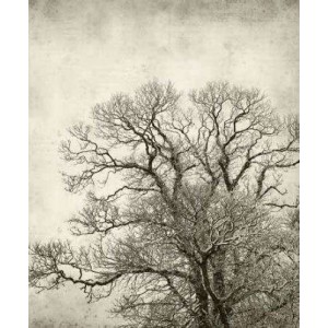 ROLLER σκίασης με ψηφιακό...