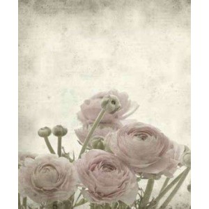 ROLLER σκίασης με ψηφιακό...