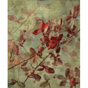 ROLLER σκίασης με ψηφιακό...