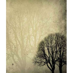 ROLLER σκίασης με ψηφιακό...