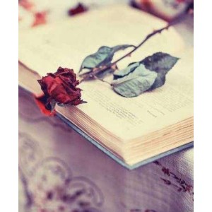 ROLLER σκίασης με ψηφιακό...