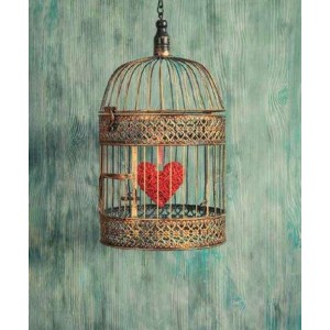 ROLLER σκίασης με ψηφιακό...