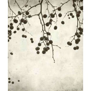 ROLLER σκίασης με ψηφιακό...