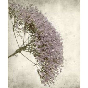 ROLLER σκίασης με ψηφιακό...