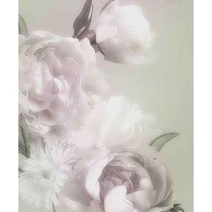 ROLLER σκίασης με ψηφιακό...