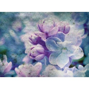 ROLLER σκίασης με ψηφιακό...