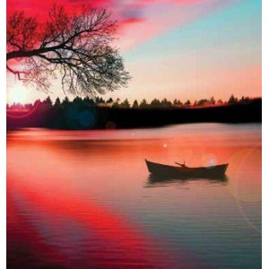 ROLLER σκίασης με ψηφιακό...