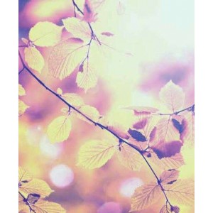 ROLLER σκίασης με ψηφιακό...