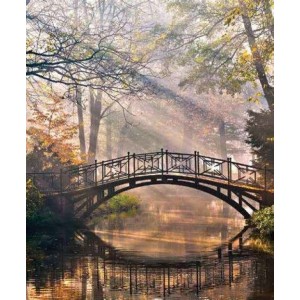 ROLLER σκίασης με ψηφιακό...