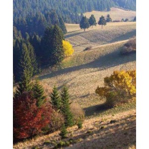 ROLLER σκίασης με ψηφιακό...