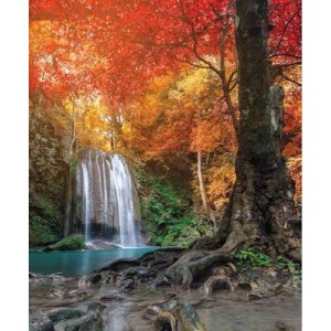 ROLLER σκίασης με ψηφιακό...