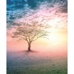 ROLLER σκίασης με ψηφιακό...