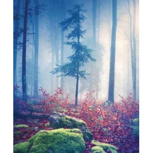 ROLLER σκίασης με ψηφιακό...