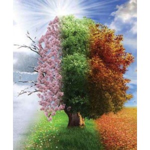 ROLLER σκίασης με ψηφιακό...