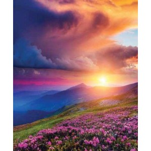 ROLLER σκίασης με ψηφιακό...