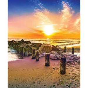 ROLLER σκίασης με ψηφιακό...