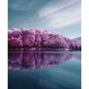 ROLLER σκίασης με ψηφιακό...