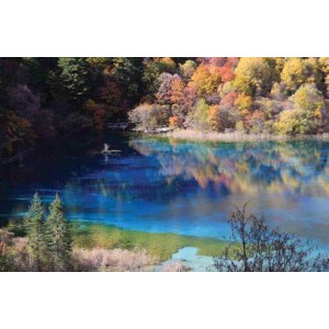 ROLLER σκίασης με ψηφιακό...