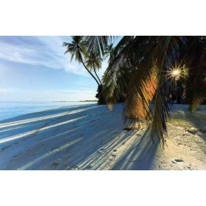 ROLLER σκίασης με ψηφιακό...