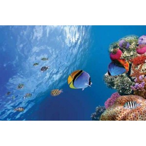 ROLLER σκίασης με ψηφιακό...